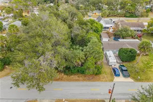Christiancy Ave, Port Orange, FL 32127 - Photo 1