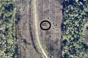 979 Settlers Loop, Geneva, FL 32732 - Photo 1