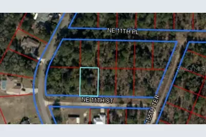 Tbd NE 11th Street S, Williston, FL 32696 - Photo 1