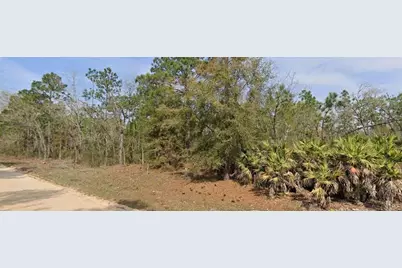 Union Avenue, Interlachen, FL 32148 - Photo 1