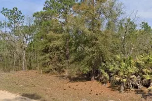Union Ave, Interlachen, FL 32148 - Photo 1