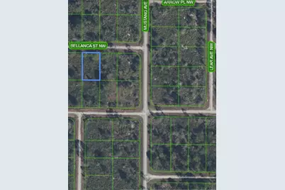 324 Bellanca Street NW #LOT 8, Lake Placid, FL 33852 - Photo 1