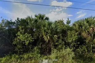557 Lagrange Street SW, Palm Bay, FL 32908 - Photo 1
