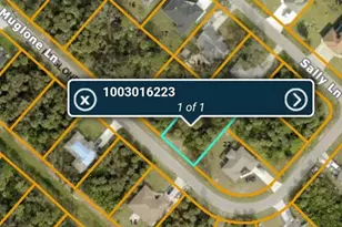 Muglone Ln, North Port, FL 34286 - Photo 1