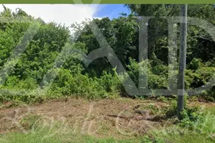 1424 E Stetson Dr, Cocoa, FL 32922 - Photo 1