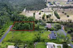 Mill Pond Rd, Tavares, FL 32778 - Photo 1