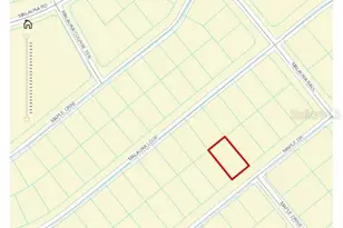 Maple Dr, Ocklawaha, FL 32179 - Photo 1