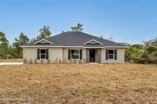 5235 Blounts Ridge Rd, Mims, FL 32754 - Photo 1