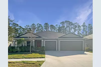 13507 Willow Bluestar Loop, Riverview, FL 33579 - Photo 1