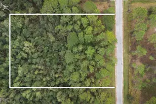 1550 Marlin Dr, Kissimmee, FL 34759 - Photo 1