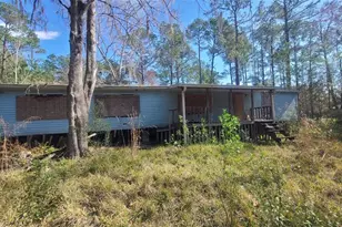 13395 NE 65th Ct, Citra, FL 32113 - Photo 1