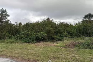 10020 Antrim St, Port Charlotte, FL 33981 - Photo 1