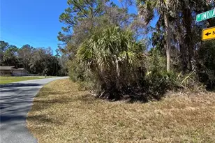 11357 W Indian Woods Path, Crystal River, FL 34428 - Photo 1