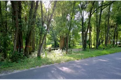 31339 Westward Ho Avenue, Sorrento, FL 32776 - Photo 1