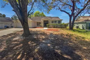 8080 Spanish Oak Dr, Spring Hill, FL 34606 - Photo 1