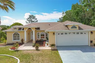 531 Albatross Dr, Kissimmee, FL 34759 - Photo 1