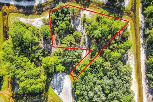 1254 Wahneta Dr, Kissimmee, FL 34759 - Photo 1