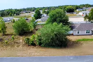 0 SW 128th St Rd, Ocala, FL 34473 - Photo 1