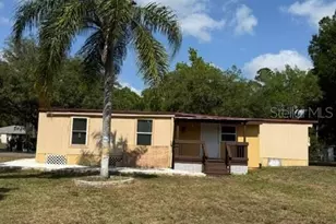 1019 St Catherine Ave, Christmas, FL 32709 - Photo 1