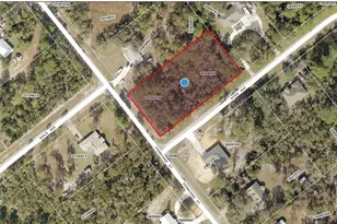 Lot 13 Poinciana St, Eustis, FL 32736 - Photo 1