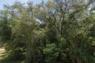 2145 N Morningside Rd, Avon Park, FL 33825 - Photo 1