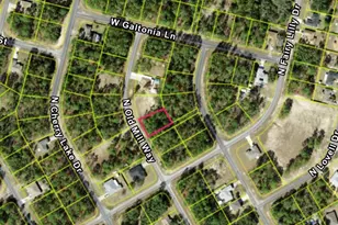 9571 N Old Mill Way, Citrus Springs, FL 34433 - Photo 1