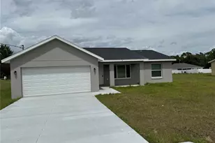 7 Maple Dr Way, Ocklawaha, FL 32179 - Photo 1