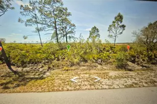 373 Christine St NW, Lake Placid, FL 33852 - Photo 1