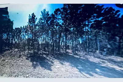 Marion Oaks, Ocala, FL 34473 - Photo 1