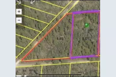 0 NE Creekstone Street NE, Webster, FL 33597 - Photo 1