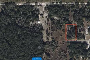7251 NW 28th Ln, Chiefland, FL 32626 - Photo 1