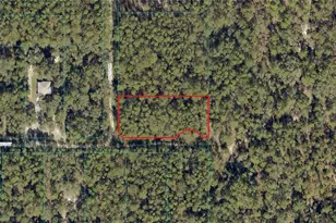 3895 SW 175th Terrace, Dunnellon, FL 34432 - Photo 1