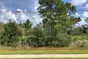 Bancroft Blvd, Orlando, FL 32833 - Photo 1