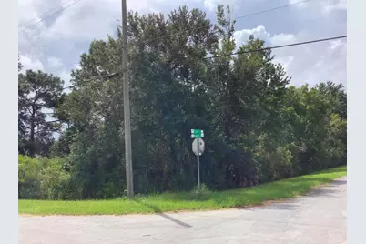 Peabody Street, Orlando, FL 32833 - Photo 1