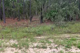 2810 W Xenox Dr, Citrus Springs, FL 34433 - Photo 1