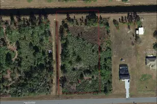 Reynolds Pkwy, Orlando, FL 32833 - Photo 1