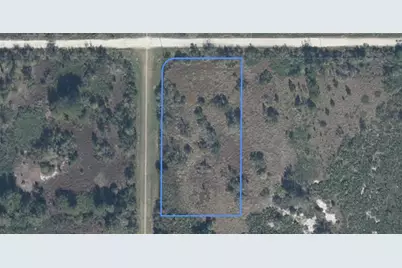 2239 W Tarkenton Road, Avon Park, FL 33825 - Photo 1