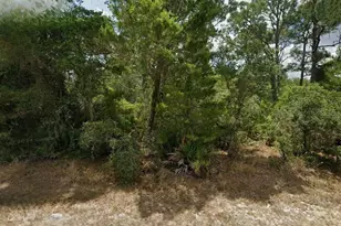 867 & 869 Letitia Dr, Sebring, FL 33875 - Photo 1