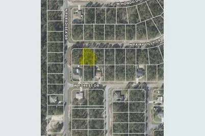 9317 N Fairy Lilly Drive, Citrus Springs, FL 34433 - Photo 1