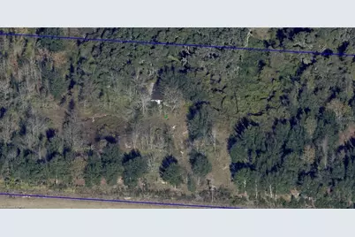 16213 Clarence Lee Road, Groveland, FL 34736 - Photo 1