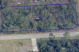 Cartwright Ct, Orlando, FL 32833 - Photo 1