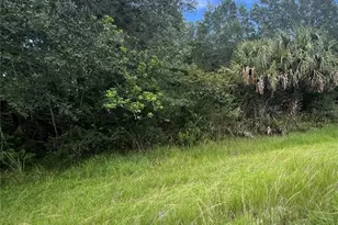 00 Dallas Blvd, Orlando, FL 32833 - Photo 1