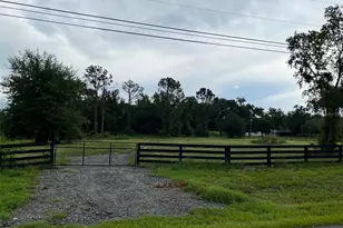 14901 Lenze Dr, Tavares, FL 32778 - Photo 1