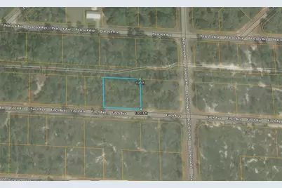 3507 Finch Avenue, Lake Placid, FL 33852 - Photo 1