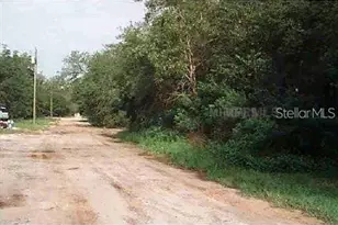 Calamondin St, Lady Lake, FL 32159 - Photo 1