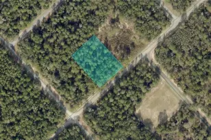 172nd Pl Rd, Ocala, FL 34473 - Photo 1