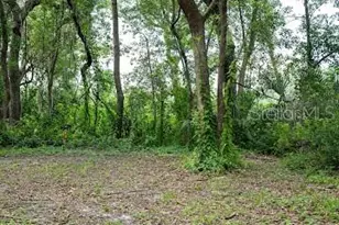 8641 High St, Yalaha, FL 34797 - Photo 1