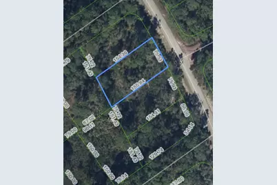 414 Pershing Avenue, Lake Placid, FL 33852 - Photo 1