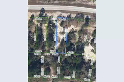 731 County Road 29, Lake Placid, FL 33852 - Photo 1