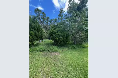 18741 Plains Road, Aripeka, FL 34679 - Photo 1